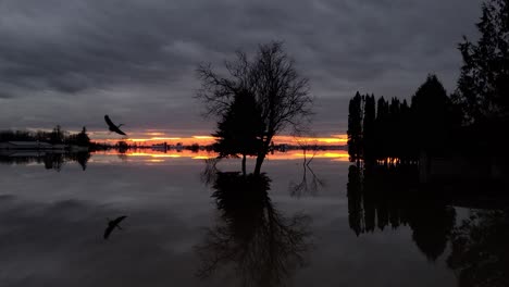 Spiegelreflexion-Eines-Sonnenuntergangs-Auf-Einem-Ruhigen-See,-Während-Ein-Großer-Vogelstorch-Vorbeifliegt