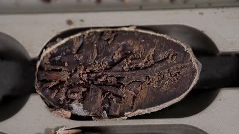 Grano-De-Cacao-Crudo-Primer-Plano-Macro-Detalle-Shot