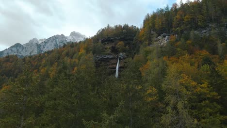 Rising-from-pine-tree-forest-in-Triglav-National-Park,-revealing-Pericnik-waterfall