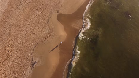 Man-walking-on-beach-during-sunrise,-top-down-aerial-view