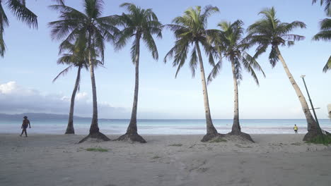 Dolly-In-Shot-Towards-Palm-Trees-During-A-Sunny-Day-In-The-White-Sands-Of-Boracay