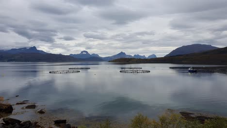 Fischfarmen,-Aquakulturen-In-Einer-Bucht-In-Norwegen