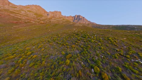 Long-aerial-shot-of-pristine-forests,-hills-and-rugged-mountains-against-a-blue-sky-at-sunset
