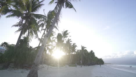Fly-Through-Shot-Of-Sun-Peeking-Through-The-Palm-Trees-Of-Boracay