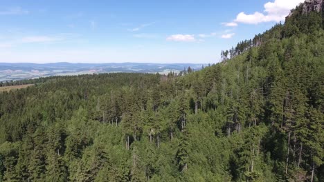 Aerial-Wide-Shot-Of-Dense-Forest-In-The-Mountains-4K