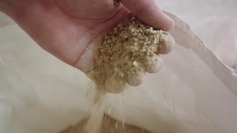 The-brewer-takes-a-handful-of-wheat-from-the-bag-in-the-brewery