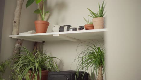 Flower-Pots-And-Filming-Equipment-Display-On-Wooden-Shelves-Inside-The-Cabin