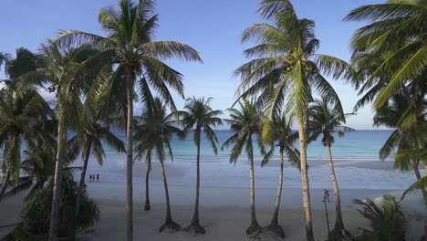 High-Angle-Dolly-Shot-Of-Palm-Trees-and-Clean-Beach-Of-A-Clean-Tropical-Beach