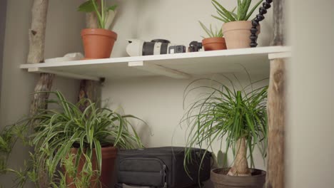 Wall-Shelves-With-Camera-And-Indoor-Plants