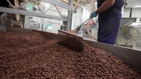 Kaukasischer-Mann,-Der-In-Einer-Kakaofabrik-Arbeitet-Und-Die-Kakaobohnen-Röstet
