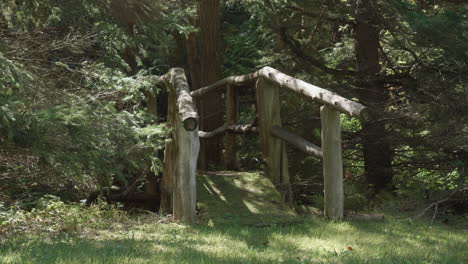 A-closeup-shot-of-a-wooden-bridge-in-a-pine-forest