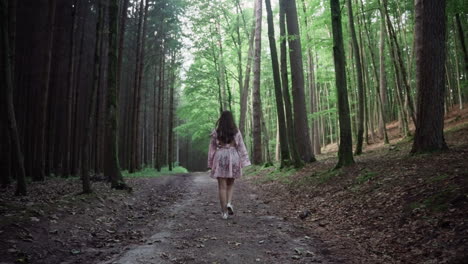 Chica-Vestida-Caminando-Por-El-Bosque-Con-árboles-Imponentes