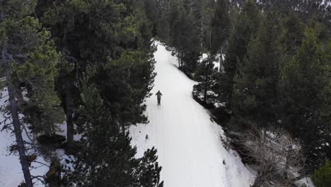 Aerial:-amateur-cross-country-skier-following-a-ski-trail-into-the-woods-and-crossing-with-another-skier-seen-from-above