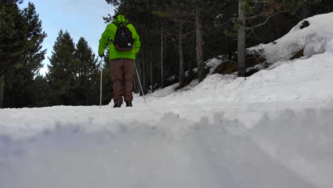 Esquiador-De-Fondo-Aficionado-Siguiendo-Una-Pista-De-Esquí-En-El-Bosque