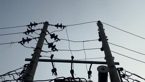 Bird-perched-on-electric-power-supply-line,-fly-away---silhouette-low-angle-shot