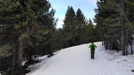 Aerial:-amateur-cross-country-skier-following-a-ski-trail-into-the-woods