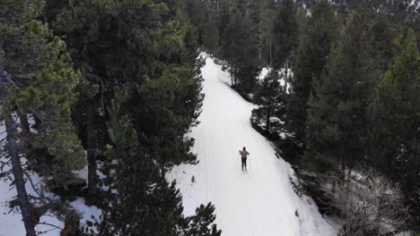 Aerial:-amateur-cross-country-skier-following-a-ski-trail-into-the-woods-seen-from-above