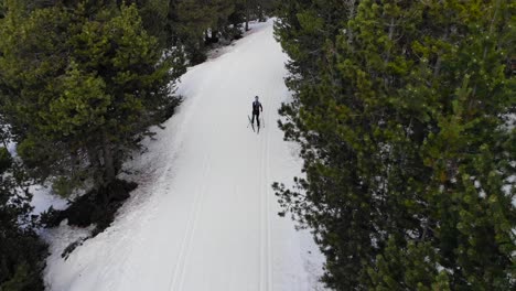 Aerial:-professional-cross-country-skier-following-a-ski-trail-into-the-woods-seen-from-above