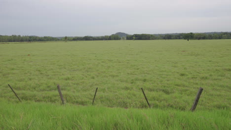 Pan-right-shot-of-wide-green-grassland-on-cloudy-day