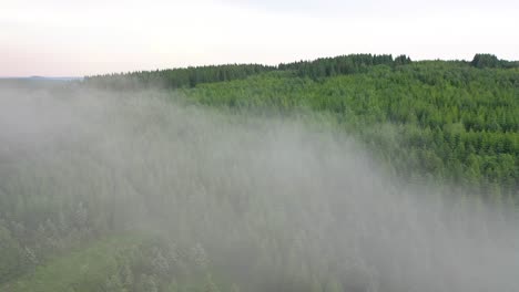 Vista-Aérea-Sobre-Un-Bosque-Verde,-Hermoso-Paisaje-Nublado-Bajo-Sobre-Los-árboles-Verdes-Debajo