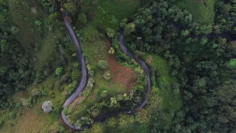 Hover-view-of-winding-mountain-road-in-green-forest