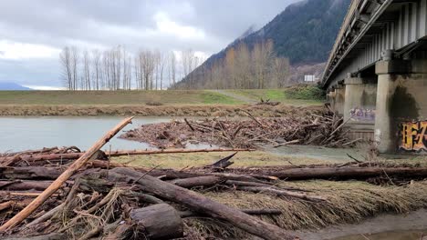 River-debris-and-tree-logs-trunks-piled-up-on-a-bridge-after-a-flood