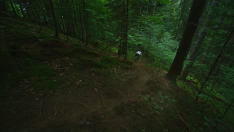 A-mountain-biker-rides-down-a-dusty-trail-in-a-lush-forest