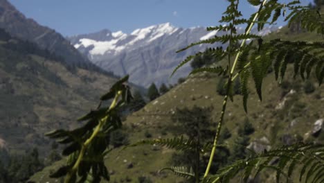 Schöne-Landschaft-Von-Himachal-Pradesh