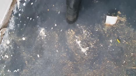Close-Up-Of-Vacuum-Hose-Sucking-Up-Dust-On-Floor