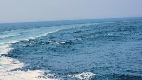 Viendo-Delfines-Atlánticos-De-Lados-Blancos-Nadando-Juntos-En-El-Océano-Durante-Un-Viaje-De-Vacaciones