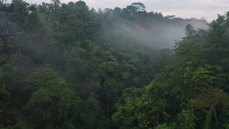 Stimmungsvolle-Dramatische-Szene-Mit-Nebelwolken-Im-Tropischen-Tal-Auf-Bali,-Mysteriös
