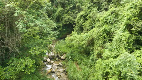 High-angle-view-of-small-Nizao-river-stream-in-middle-of-forest,-tilt-up,-day