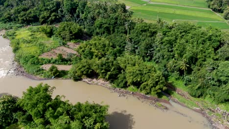 Luftaufnahme-Der-Grünen-Landschaft-Am-Schmutzigen-Progo-Fluss-In-Indonesien