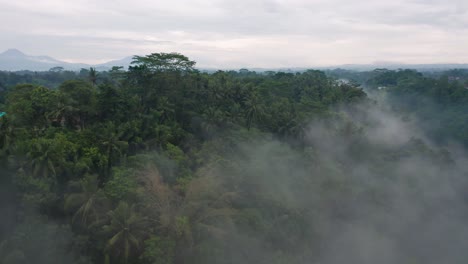 Rising-from-tropical-jungle-valley-with-fog-revealing-Bali-rural-town,-overcast-day