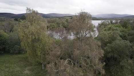 Aerial-drone-footage-flying-forwards-up-and-over-fields-and-trees-to-reveal-a-freshwater-loch-and-a-woodland-landscape-with-rain-in-the-distance