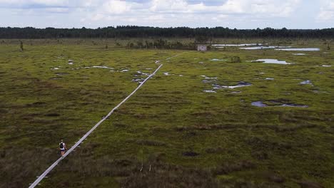 A-following-aerial-of-a-man-walking-on-a-wooden-path-in-Nigula-bog-in-Estonia-at-summer
