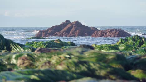 Sea-Waves-Crashing-On-Rocky-Outcrops-With-Green-Algae-In-Blurred-Foreground