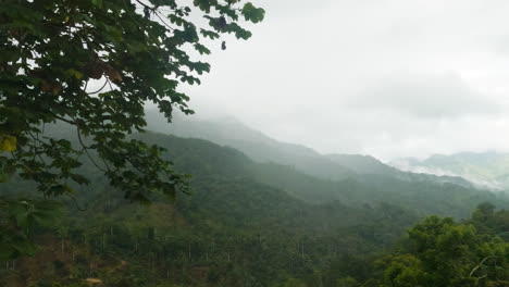 Dominican-Republic-forest-background-view,-pan-reveal-amazing-landscape,-misty-day