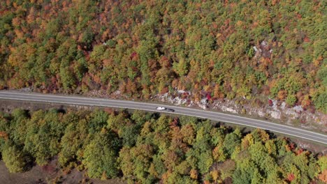 Car-with-boat-on-trailer-driving-through-woodland-landscape,-aerial