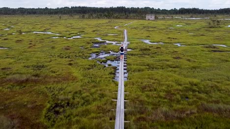Forward-moving-aerial-following-a-man-walking-on-a-wooden-boardwalk-path-in-Nigula-bog-in-Estonia