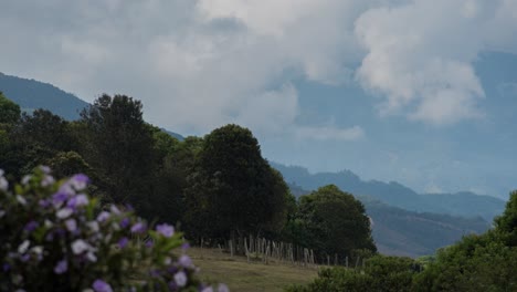 Timelapse-in-colombian-field,-in-a-cloudy-day