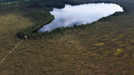 Aerial-drone-clip-of-Nigula-bog-Lake-in-Estonia-during-summer