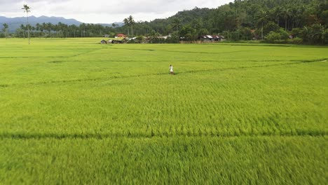Young-Girl-In-White-Dress-Waving-At-Drone-Flying-Over-Green-Rice-Fields
