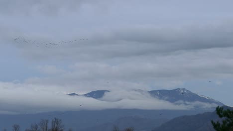 View-of-a-mountain-surrounded-by-white-mist-and-clouds,-in-the-foreground-flying-birds-in-formation,-Abbotsford,-BC,-Canada---static-shot