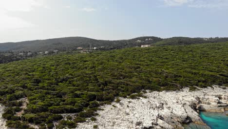 Üppige-Vegetation-An-Der-Küste-Von-Alexia-Beach-In-Griechenland---Drohnenaufnahme-Aus-Der-Luft