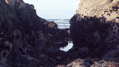 A-tidal-pool-in-the-foreground-with-the-ocean-at-low-tide-in-the-background-along-a-rocky-shoreline
