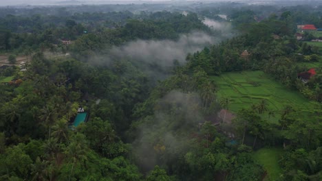 Mysterious-mist-hanging-in-tropical-river-valley-near-Ubud,-Bali,-cloudy-day