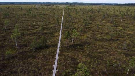 Aerial-drone-following-a-wooden-pathway-in-Nigula-bog-in-Estonia