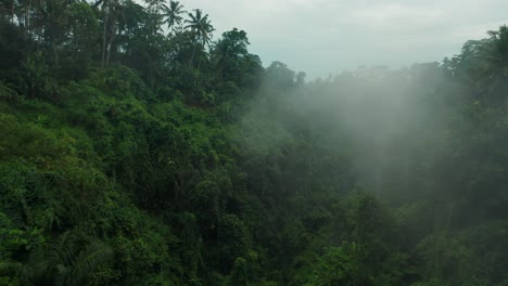 Flying-through-tropical-Bali-valley-with-mist,-eerie-dramatic-scene,-aerial