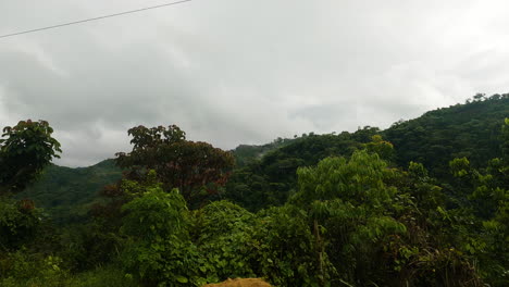 Dominican-Republic-countryside-forest,-cloudy-day,-car-sideways-pov-view,-day